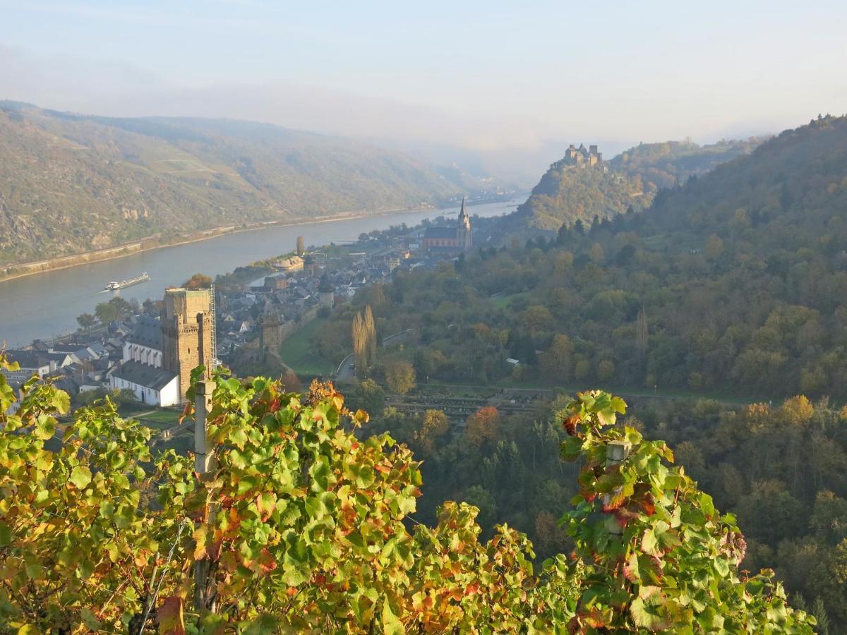 Roosartige Ferien - Ferienwohnung im Hanswieschen - Oberwesel Bacharach Langscheid  Exterior foto